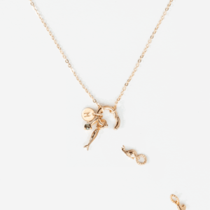 Charm Holder Necklace