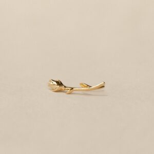 Rose Ear Climber